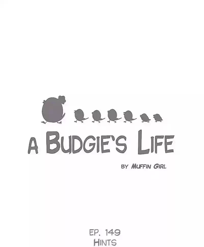 A Budgie's Life Chapter 149: Ep.148: