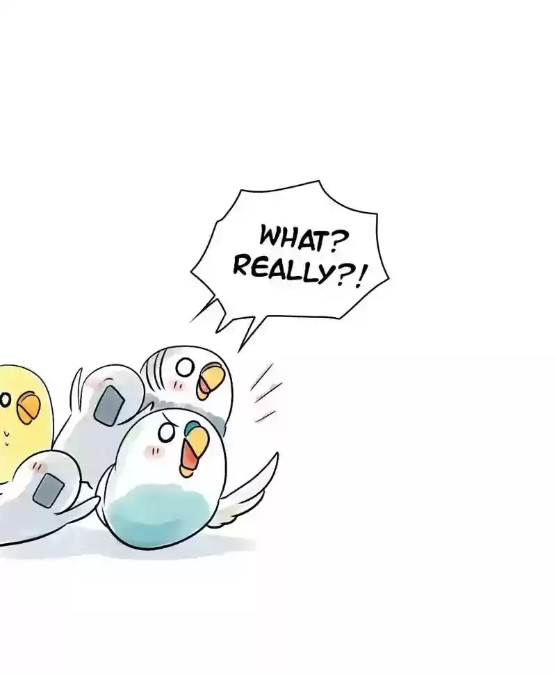 A Budgie's Life Chapter 149: Ep.148: