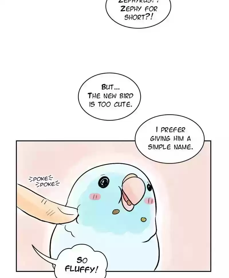 A Budgie's Life Chapter 149: Ep.148: