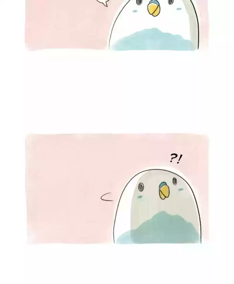A Budgie's Life Chapter 15: Ep.15: