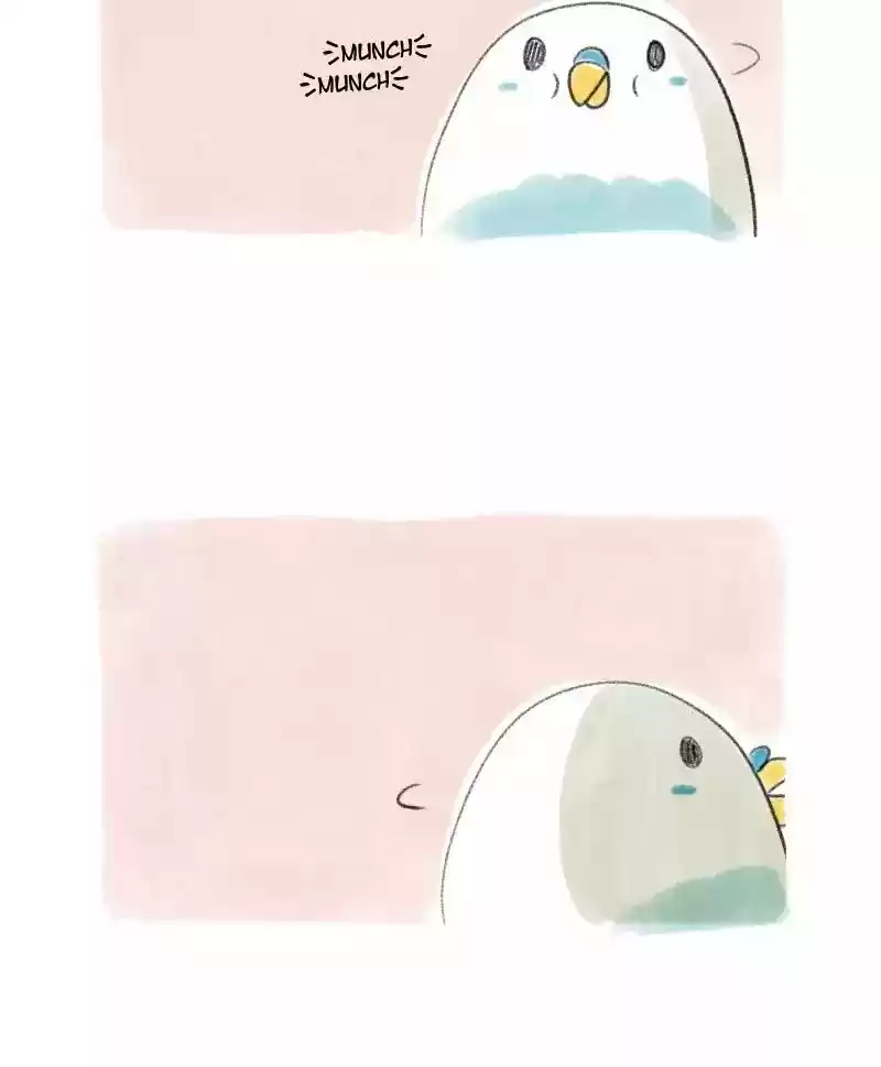 A Budgie's Life Chapter 15: Ep.15: