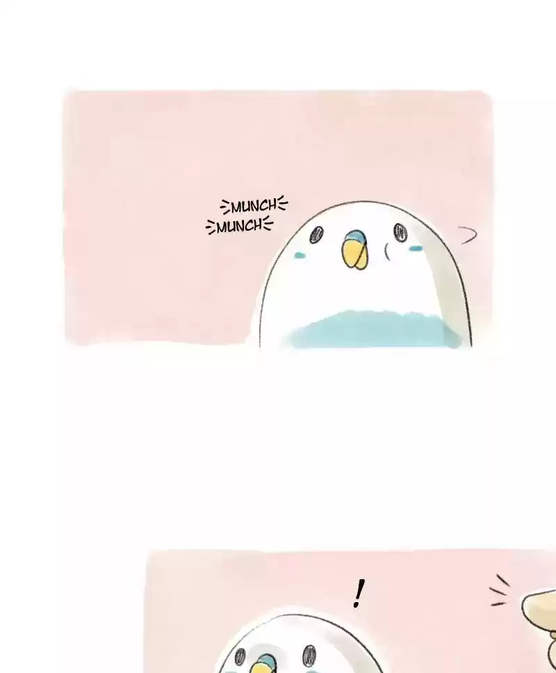A Budgie's Life Chapter 15: Ep.15: