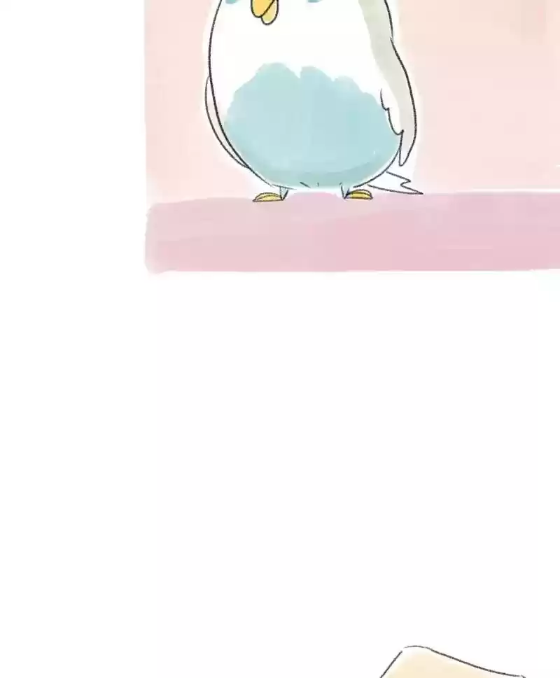 A Budgie's Life Chapter 15: Ep.15: