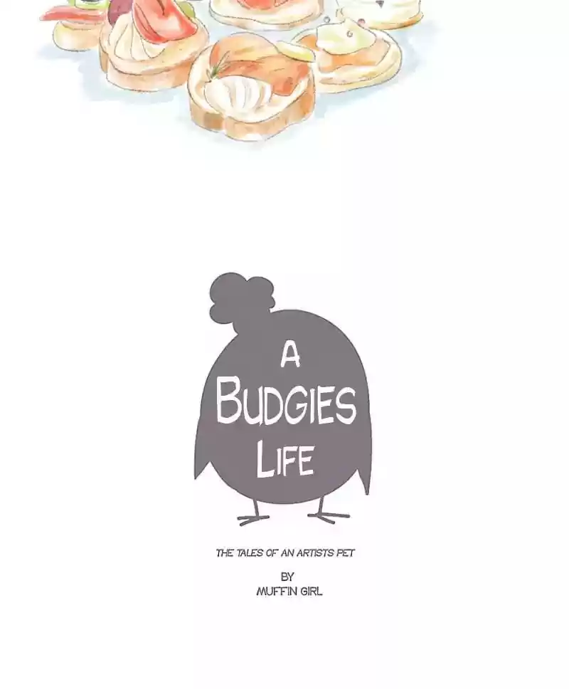 A Budgie's Life Chapter 15: Ep.15: