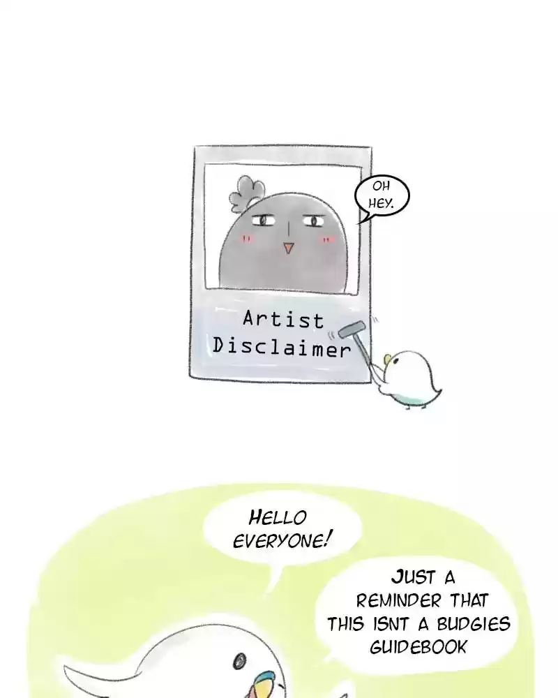 A Budgie's Life Chapter 15: Ep.15: