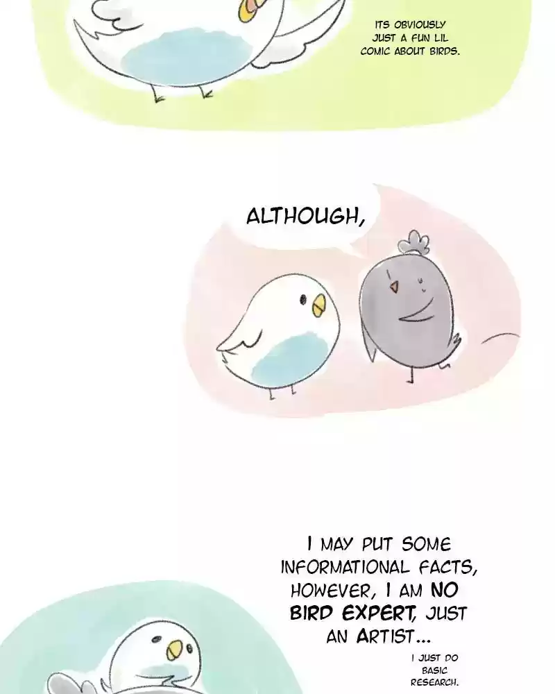 A Budgie's Life Chapter 15: Ep.15: