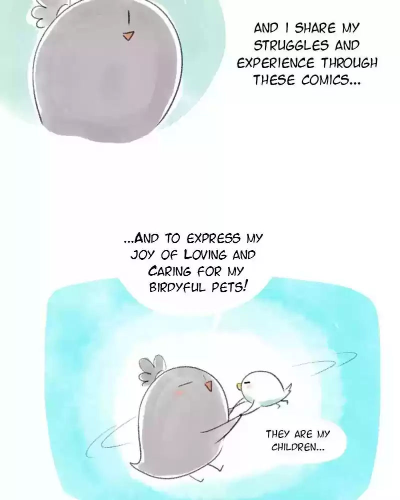 A Budgie's Life Chapter 15: Ep.15: