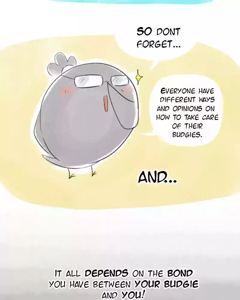 A Budgie's Life Chapter 15: Ep.15: