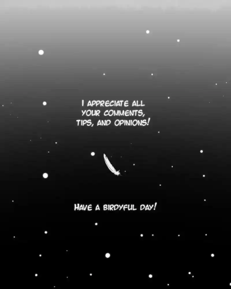 A Budgie's Life Chapter 15: Ep.15: