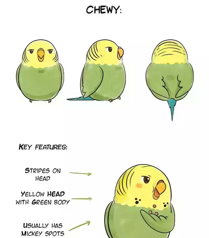 A Budgie's Life Chapter 150: Ep.149: