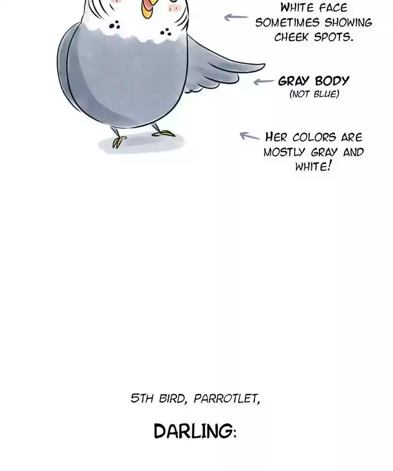 A Budgie's Life Chapter 150: Ep.149: