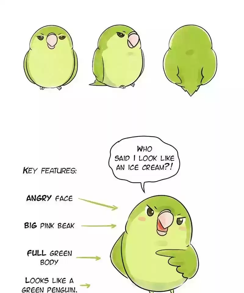 A Budgie's Life Chapter 150: Ep.149: