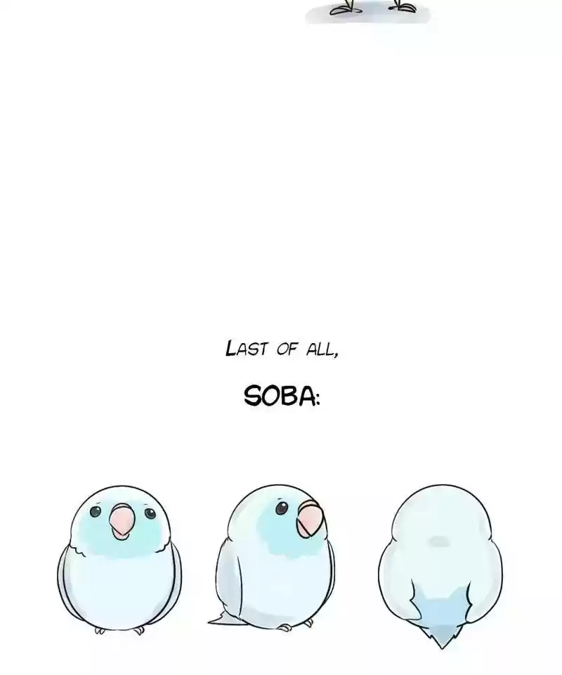 A Budgie's Life Chapter 150: Ep.149: