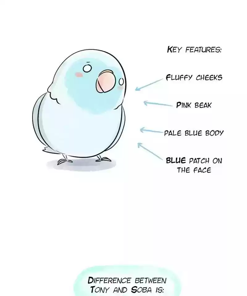 A Budgie's Life Chapter 150: Ep.149: