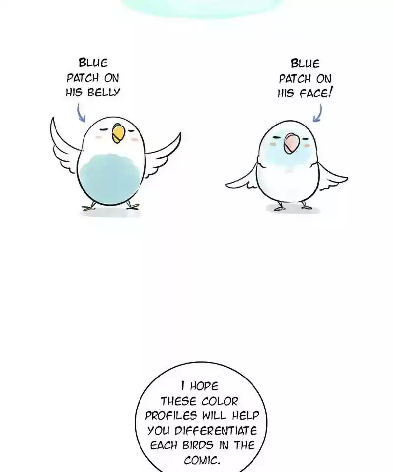 A Budgie's Life Chapter 150: Ep.149: