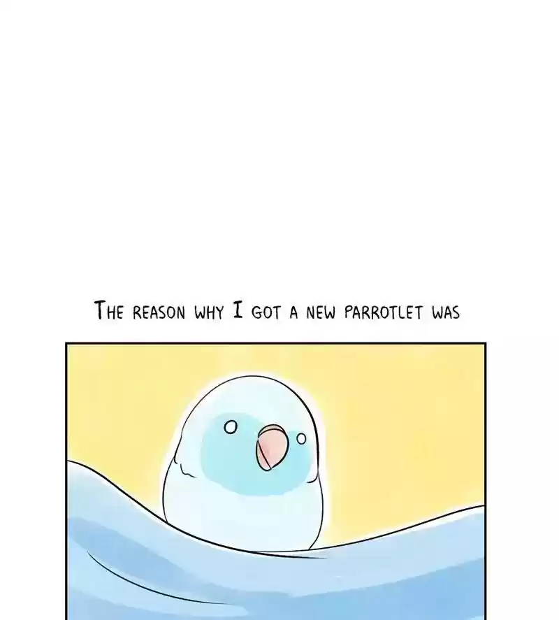 A Budgie's Life Chapter 151: Ep.150: