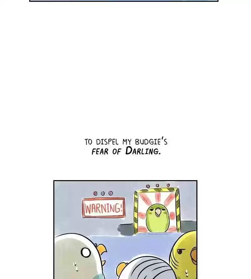A Budgie's Life Chapter 151: Ep.150: