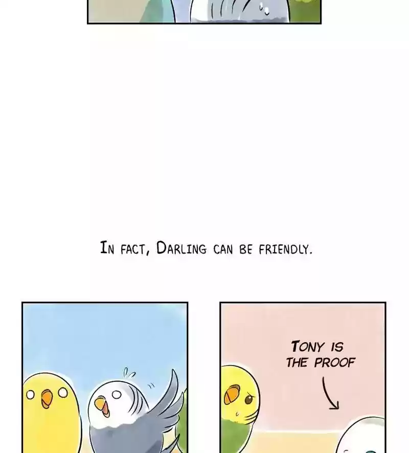 A Budgie's Life Chapter 151: Ep.150: