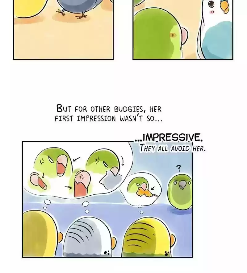 A Budgie's Life Chapter 151: Ep.150: