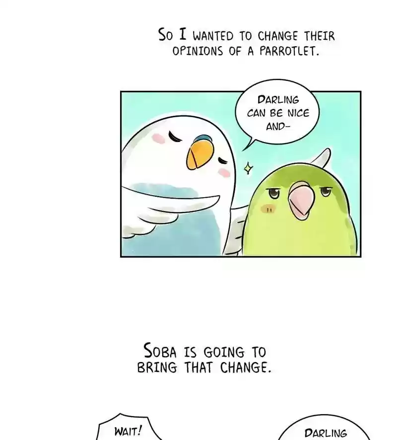A Budgie's Life Chapter 151: Ep.150: