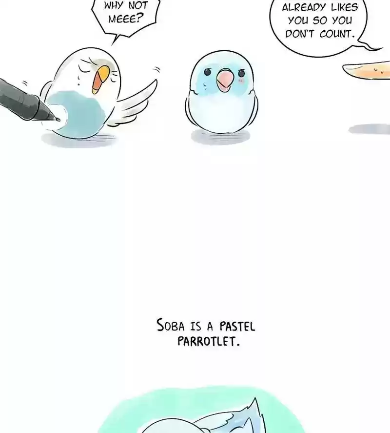 A Budgie's Life Chapter 151: Ep.150: