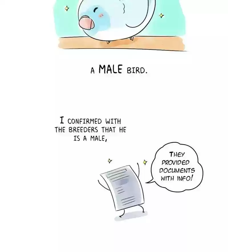 A Budgie's Life Chapter 151: Ep.150: