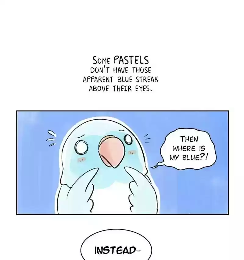 A Budgie's Life Chapter 151: Ep.150: