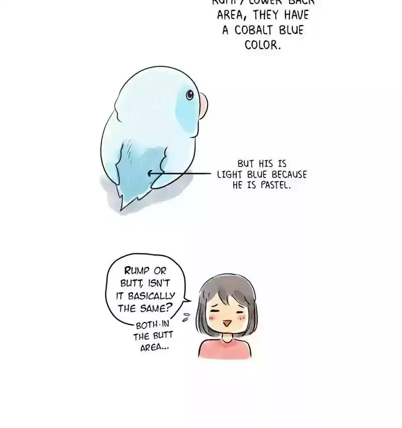 A Budgie's Life Chapter 151: Ep.150: