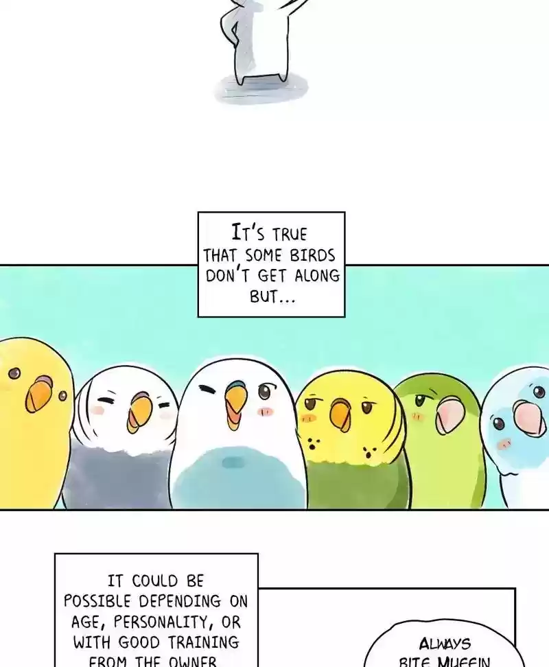 A Budgie's Life Chapter 151: Ep.150: