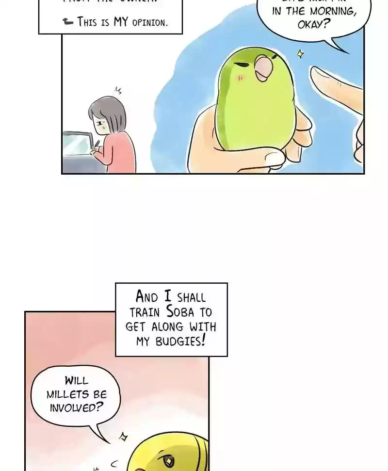 A Budgie's Life Chapter 151: Ep.150: