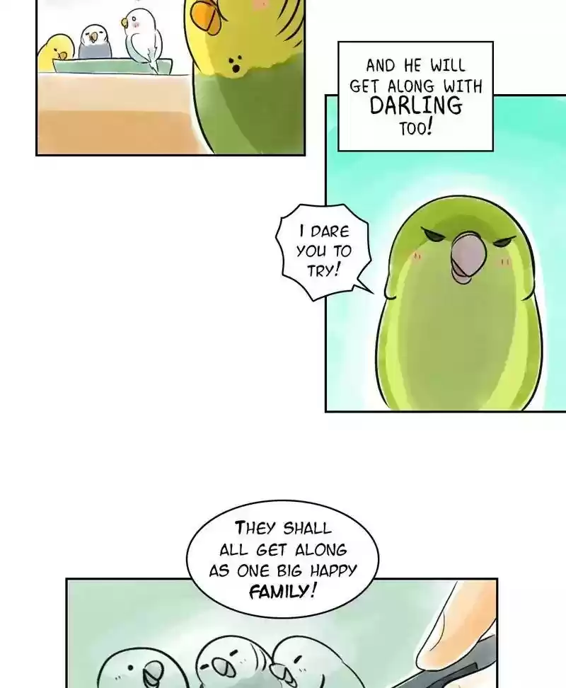 A Budgie's Life Chapter 151: Ep.150: