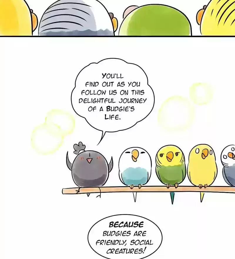 A Budgie's Life Chapter 151: Ep.150: