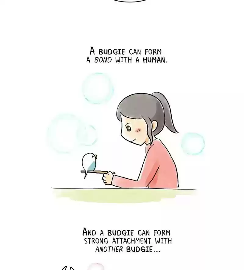 A Budgie's Life Chapter 151: Ep.150: