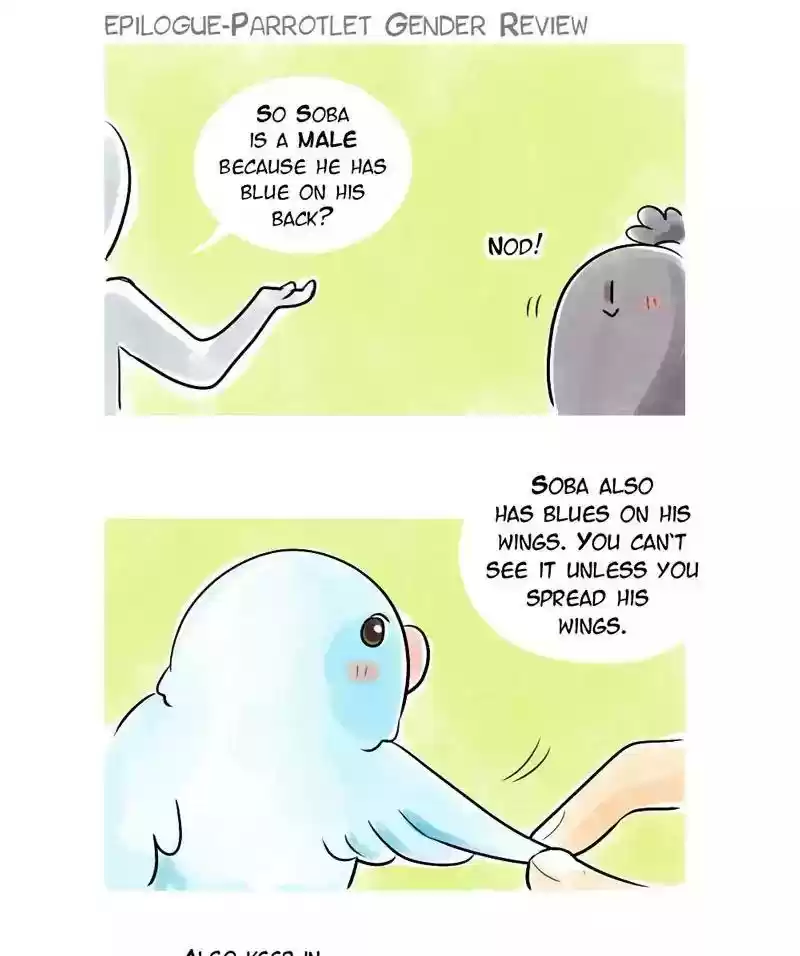 A Budgie's Life Chapter 151: Ep.150: