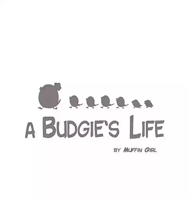 A Budgie's Life Chapter 152: Ep.151: