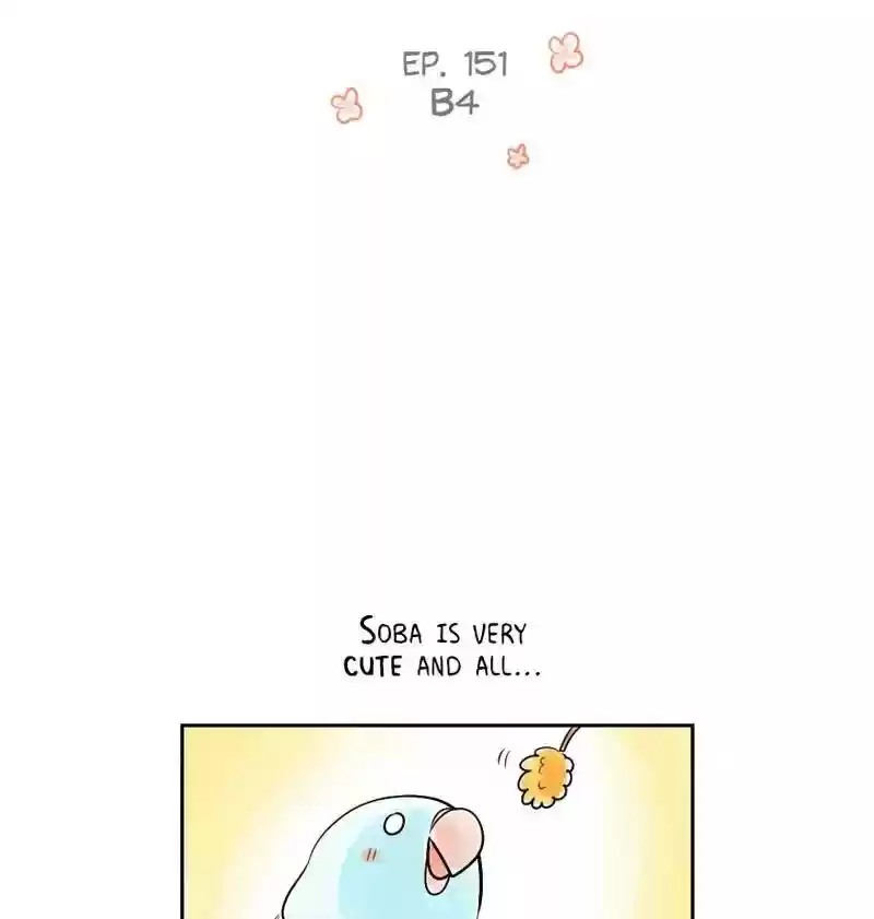 A Budgie's Life Chapter 152: Ep.151: