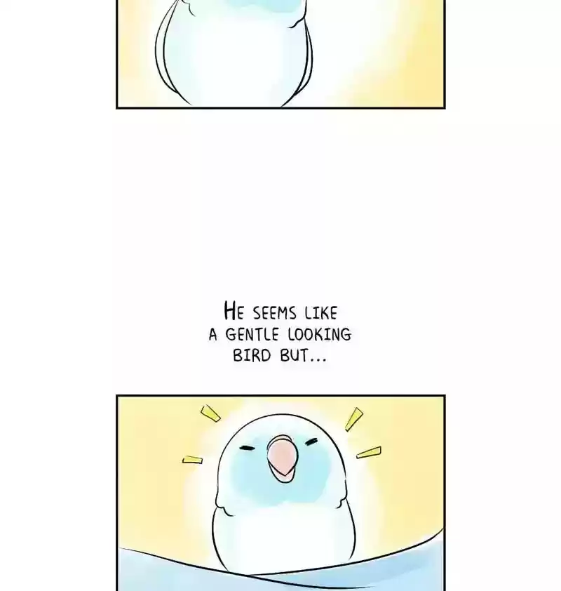 A Budgie's Life Chapter 152: Ep.151: