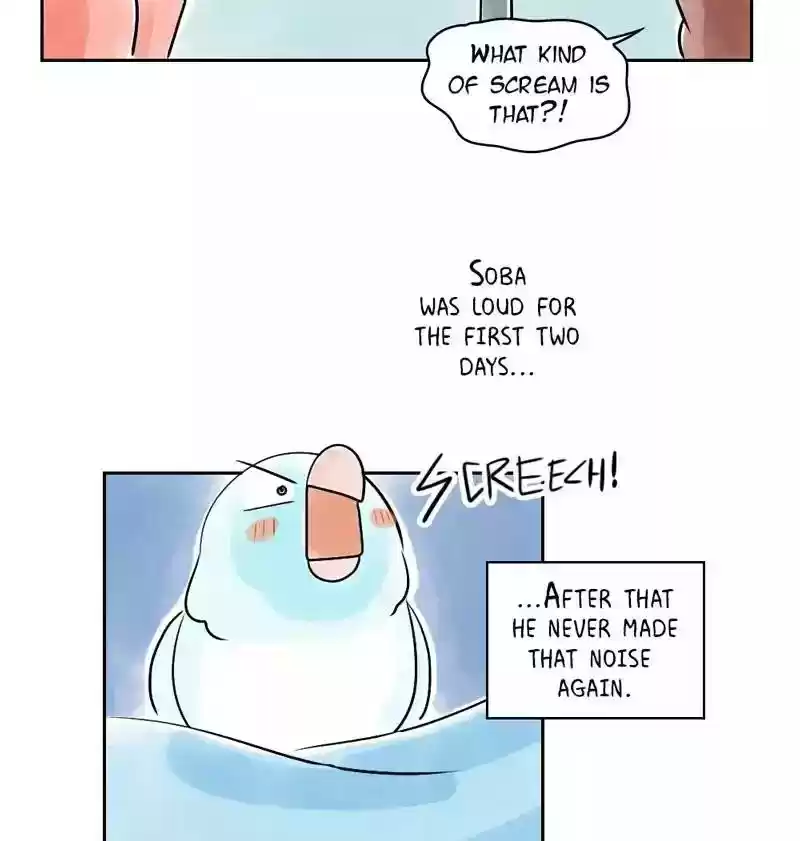 A Budgie's Life Chapter 152: Ep.151: