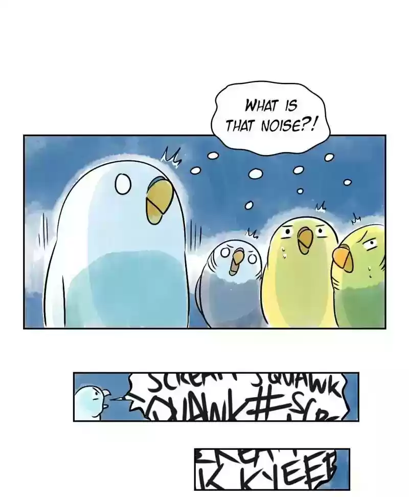 A Budgie's Life Chapter 152: Ep.151: