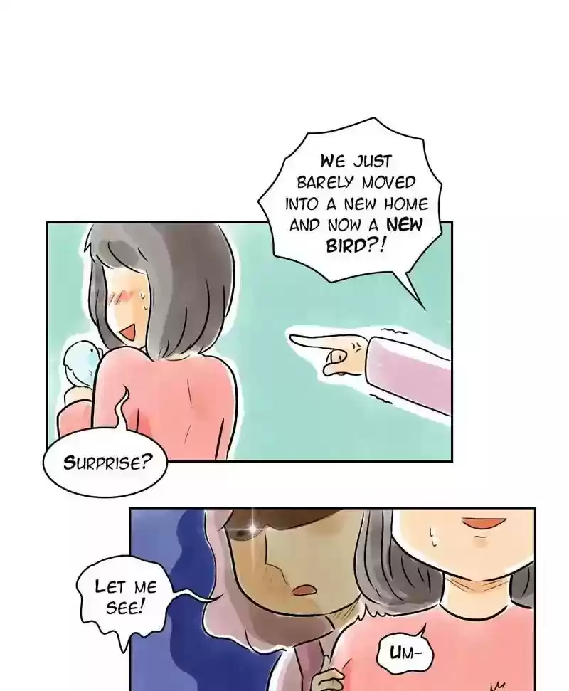 A Budgie's Life Chapter 152: Ep.151: