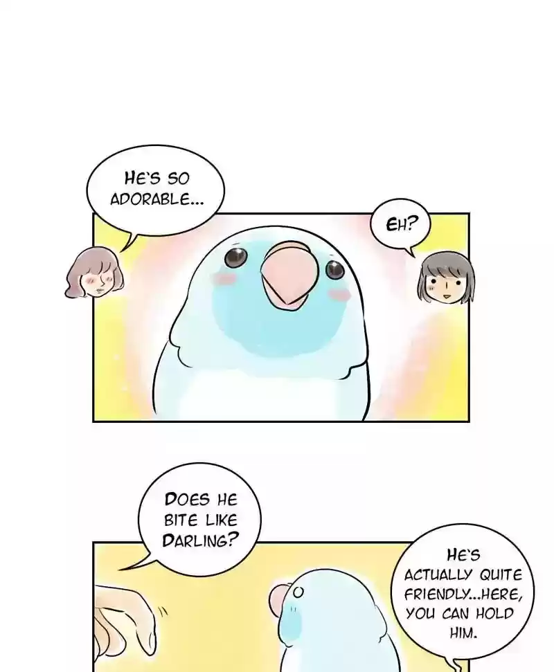 A Budgie's Life Chapter 152: Ep.151: