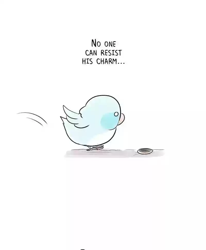 A Budgie's Life Chapter 152: Ep.151: