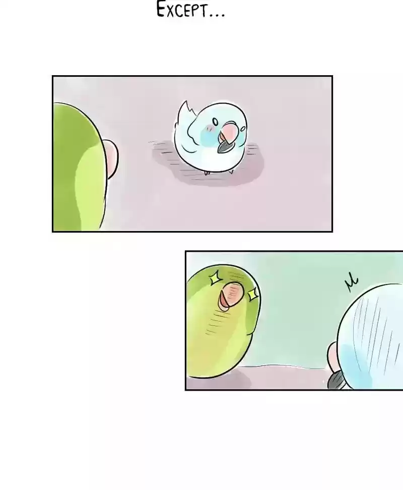 A Budgie's Life Chapter 152: Ep.151: