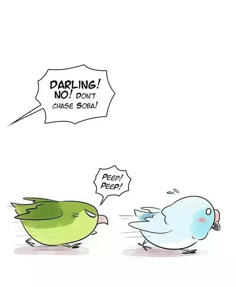 A Budgie's Life Chapter 152: Ep.151: