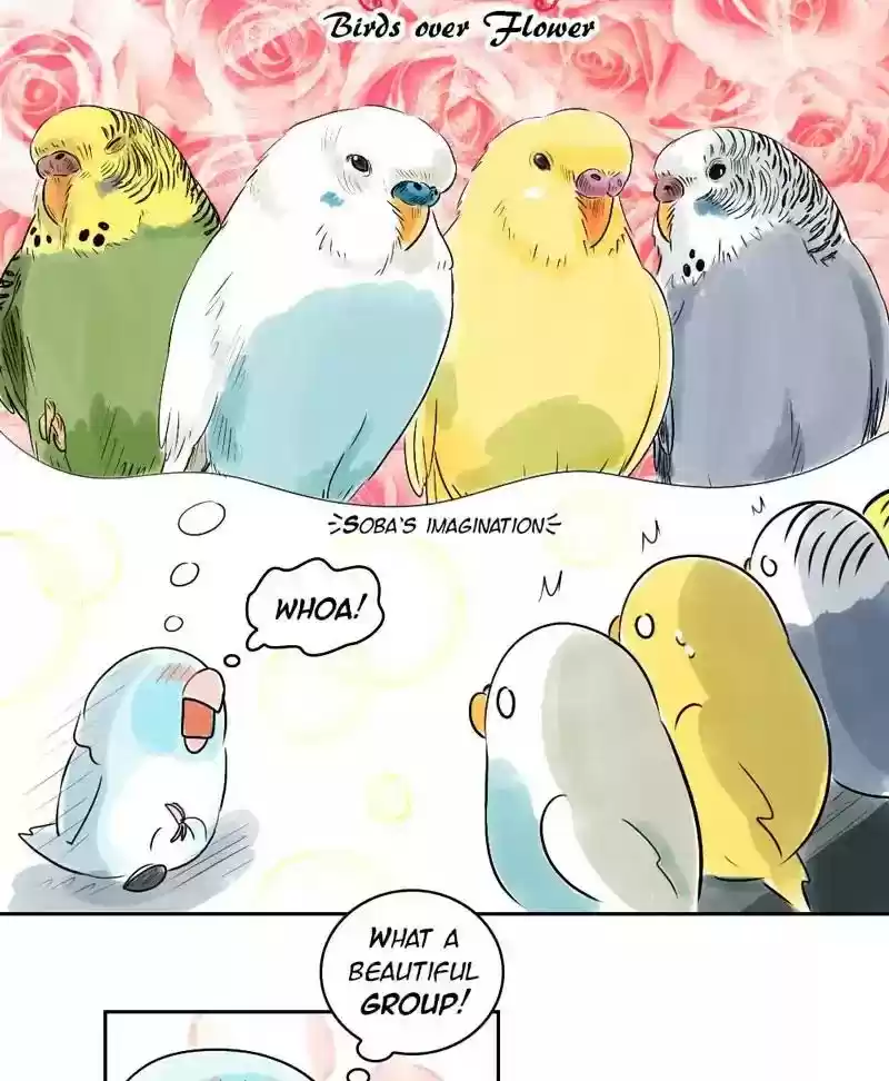 A Budgie's Life Chapter 152: Ep.151:
