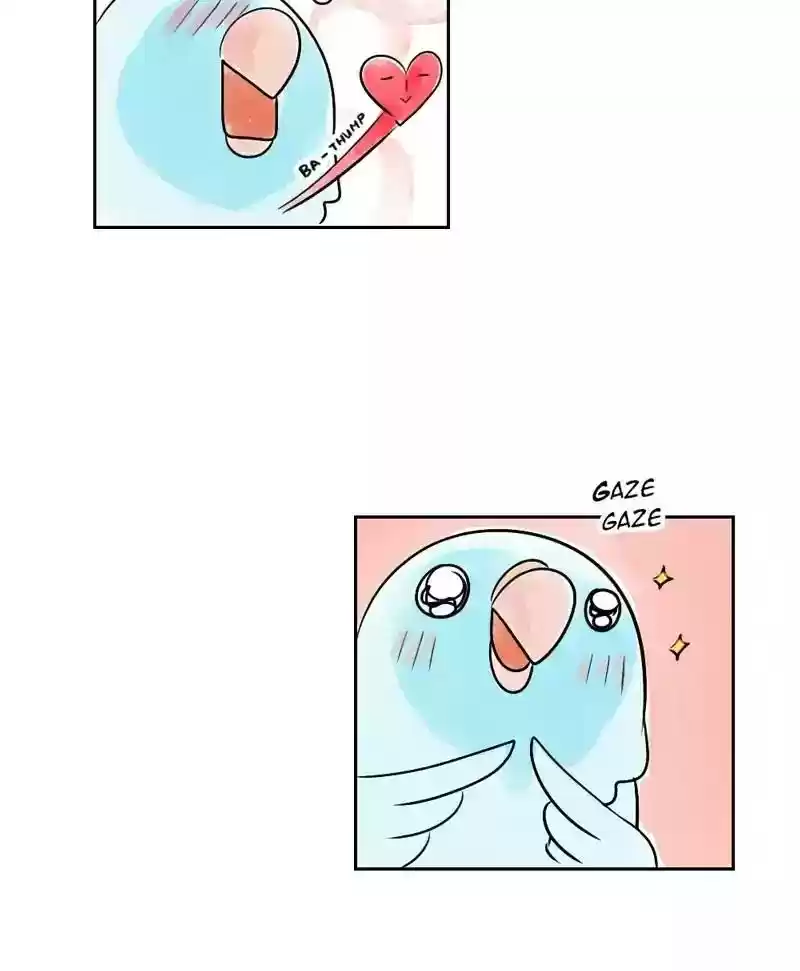 A Budgie's Life Chapter 152: Ep.151: