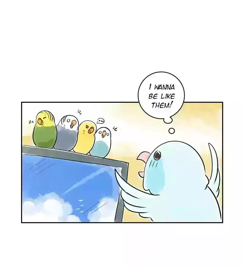 A Budgie's Life Chapter 152: Ep.151: