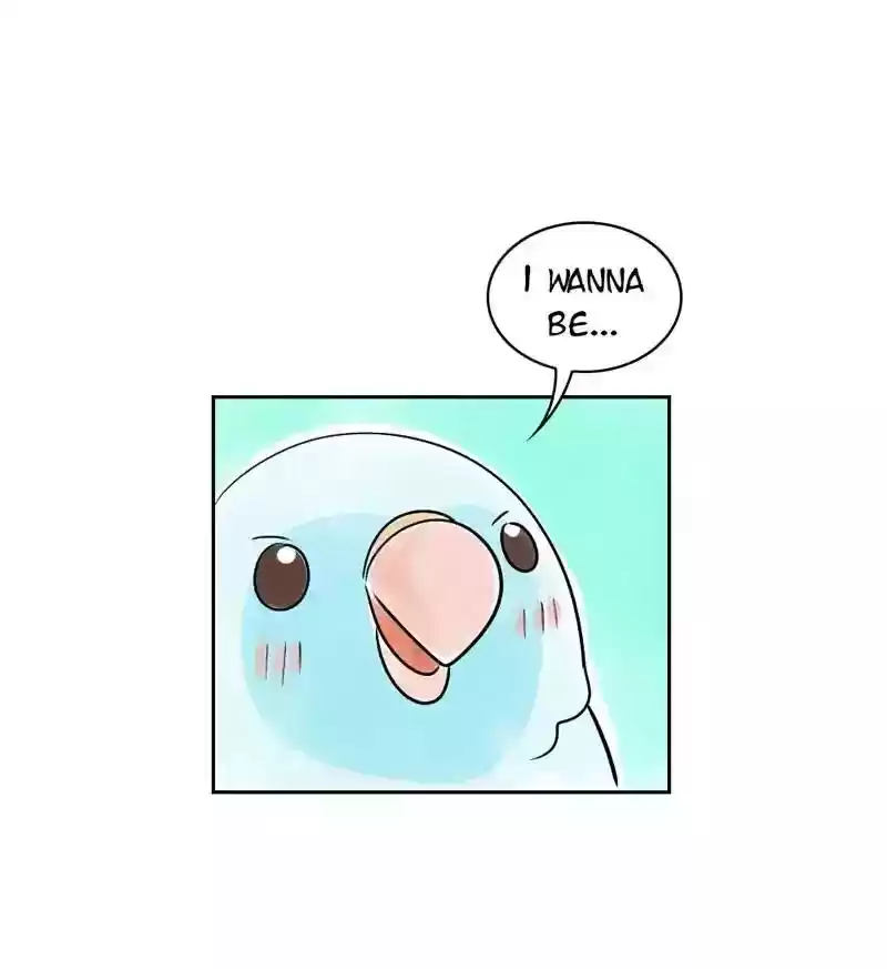 A Budgie's Life Chapter 152: Ep.151: