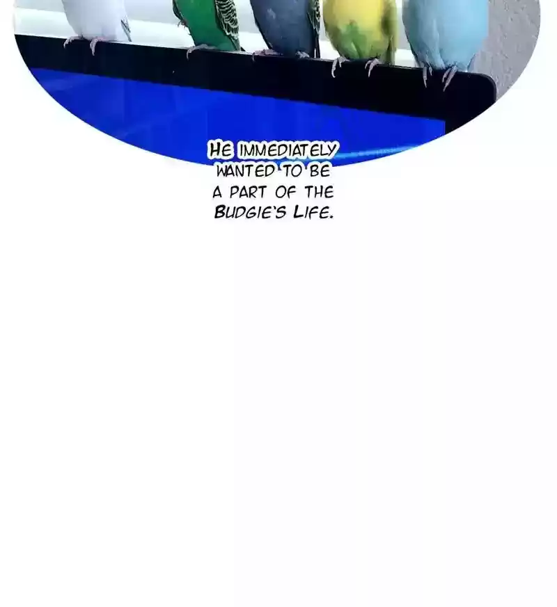 A Budgie's Life Chapter 152: Ep.151: