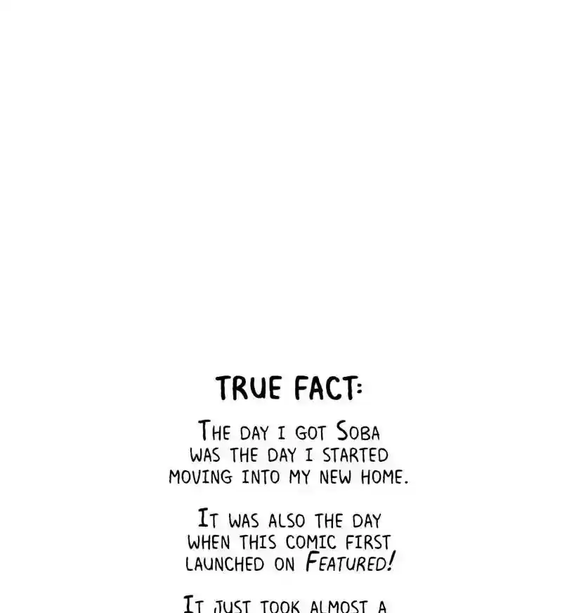 A Budgie's Life Chapter 152: Ep.151: